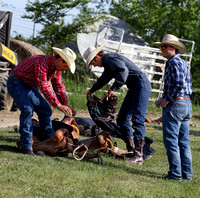 Hawley Rodeo 2017
